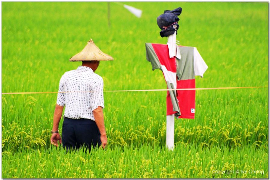 政院通過老農津貼修正案,上修申領資格,最快可望於明年上路。(photo by 拜小樂 on Flickr - used under Creative Commons license)