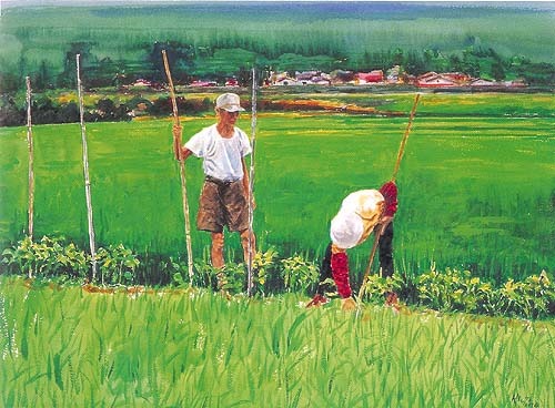 農委會指出,老農津貼主要是為了照顧長期從農的農民,「短期從農者」與「長期從農的老農」不應享有同樣福利,才能符合公平正義。 (photo by客委會)