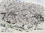 桂冠食品總經理王正明遊日本上野公園所作的「櫻花祭」。(Photo by 王正明)