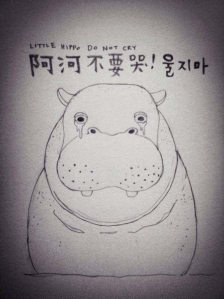 一隻阿河不只掀開動物運輸管理措施的不足,還有好多的議題。希望他的眼淚不是白流(photo by Sarah Lu 臉書)
