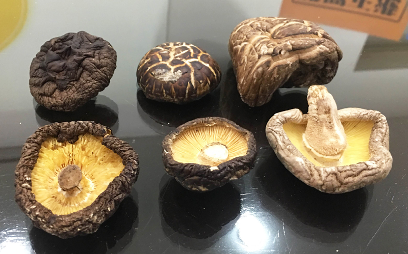 春節年菜中少不了「香菇」這一位最佳配角,專家教你分辨台菇(左)、中菇(中)及韓菇(右)。(photo by 鄭羿菲/台灣醒報)