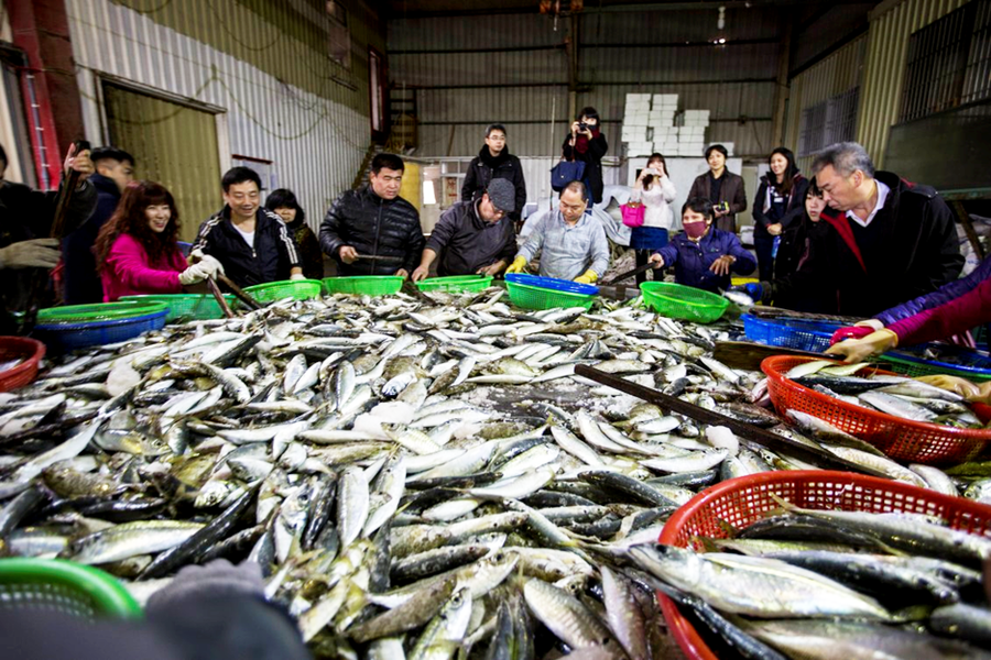 新竹香山『明發漁場』搶新鮮魚貨的樂趣,一直以來只有香山在地人才知道。(photo by 新竹市政府)