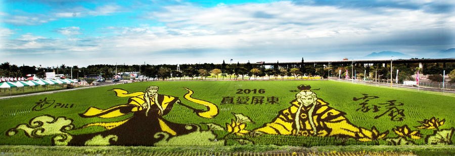 全台只有屏東才特有3D彩稻技術。〈photo by 屏東彩稻生活節臉書〉