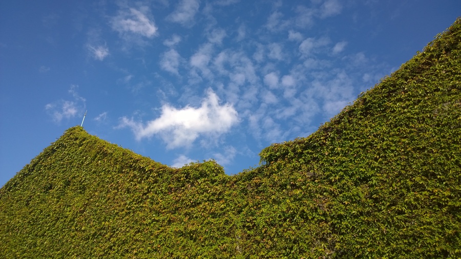 全台穩定好天氣僅剩2天,圖為6日下午台北市華山園區的晴空。(photo by 盧明正/台灣醒報)