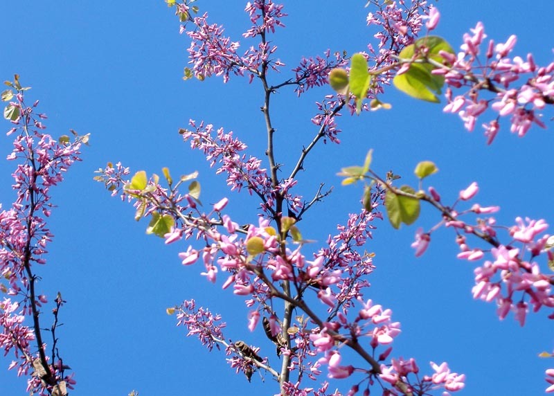 中央氣象局表示,19、20兩日全台天氣晴朗穩定。(photo by payhere on Flickr used under Creative Commons license)