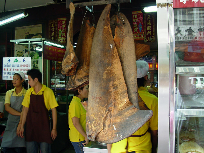 美國目前已有11州禁止銷售魚翅。(Photo by Hector Garciaon Flickr used under Creative Commons license)