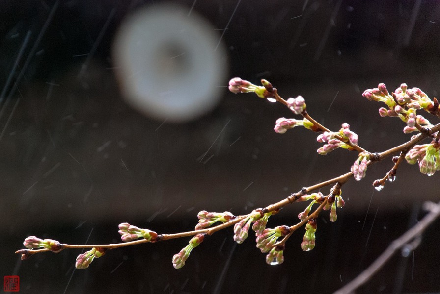 天氣專家指出,未來一週(17~23日)的天氣將會一天晴、一天雨,十分不穩定。(photo by Jun Kon on flicker- used under Creative Commons license)