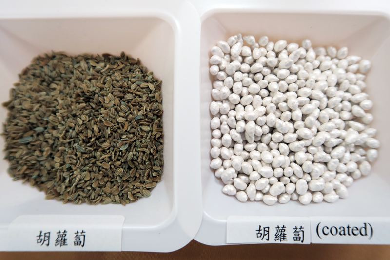 沒穿衣服的胡蘿蔔種子(左)與批上衣服的胡蘿蔔種子。(photo by林亭妤/台灣醒報)