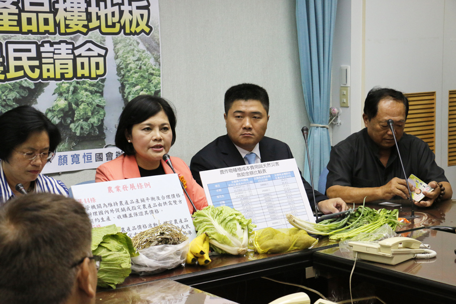 梅雨造成蔬菜損害災情,農委會祭出每公斤超過35元,就供給庫存蔬菜的做法,但國民黨立委張麗善認為,這是訂出菜價天的花板。(photo by 鄭羿菲/台灣醒報)