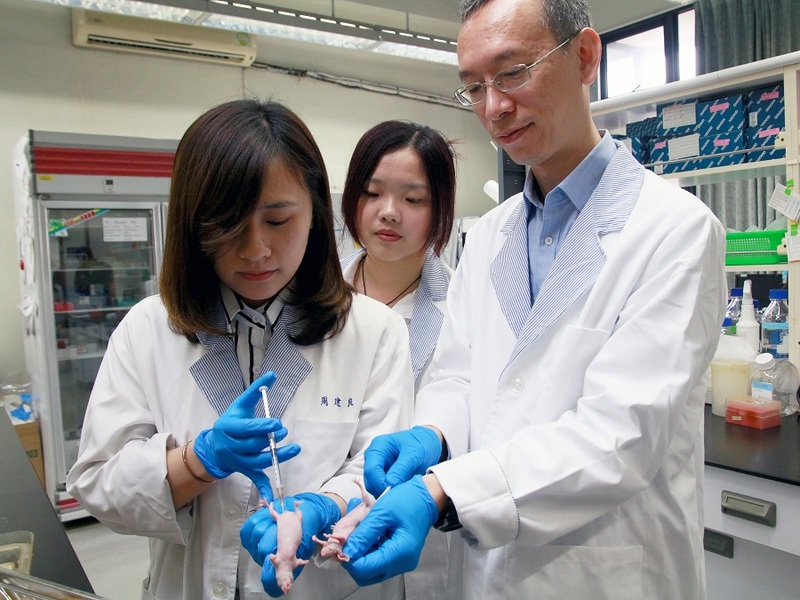 中正大學生物醫學科學系與嘉義基督教醫院研究團隊發現「佩你安」感冒藥不但能夠抑制膀胱癌腫瘤生長,更找出ANGPTL4基因有效毒殺膀胱癌腫瘤。(photo by 中正大學提供)