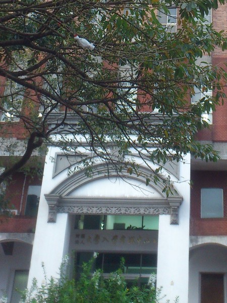 107年學測試題研討會23日公佈學生答題狀況,大考中心主任劉孟奇肯定跨領域教育的成效展現。(photo by 網路截圖)