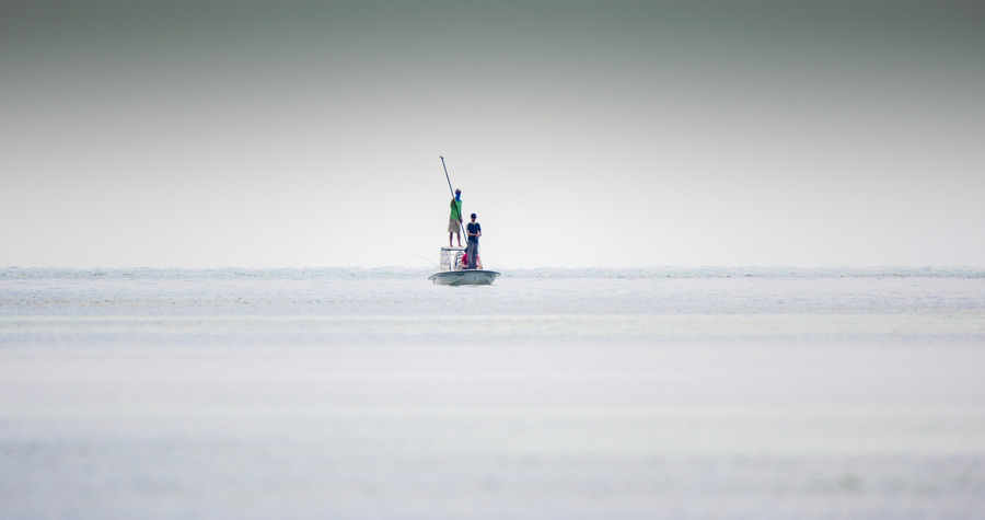 佛羅里達群島國家海洋保護區珊瑚白化,影響海洋生物生存。(Photo by NOAA Office of National Marine Sanctuaries on Flicker under Creative Commons license)