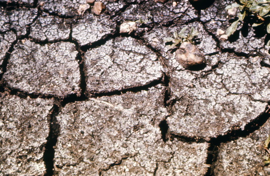 土壤扮演生態系統中相當重要角色。(Photo by USDA NRCS Montana on Flicker under Creative Commons license)