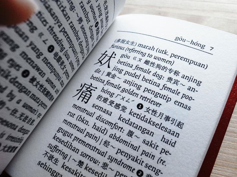 獨眾多性暴力或是道德貶義的字詞都集中在「女」部首中,因此《經濟學人》建議重新造字,以減低歧視女性。(photo by Typokaki)