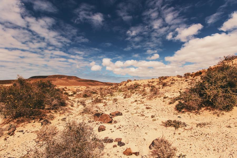 科學家發現,地底生物的數量多過地表生物,且這些生物能在高溫高壓的環境下存活。(photo credit by Tom Swinnen via Pexels)