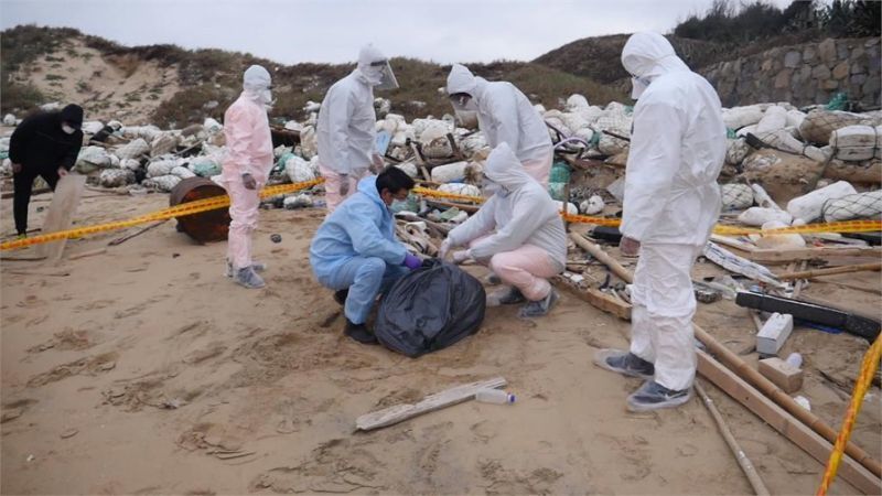 金門發現非洲豬瘟病毒,農委會即刻宣布,將暫停金門豬隻及其產品輸台14天。(電視截圖)
