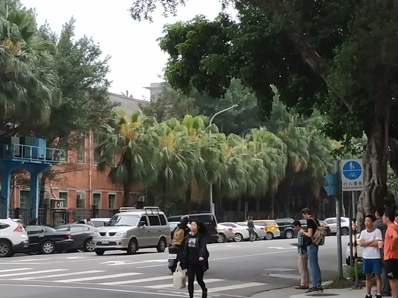 中央氣象局表示,15日至18日受東北季風影響,北台灣低溫將下探15-16度。(photo by 張朝瑋/台灣醒報)