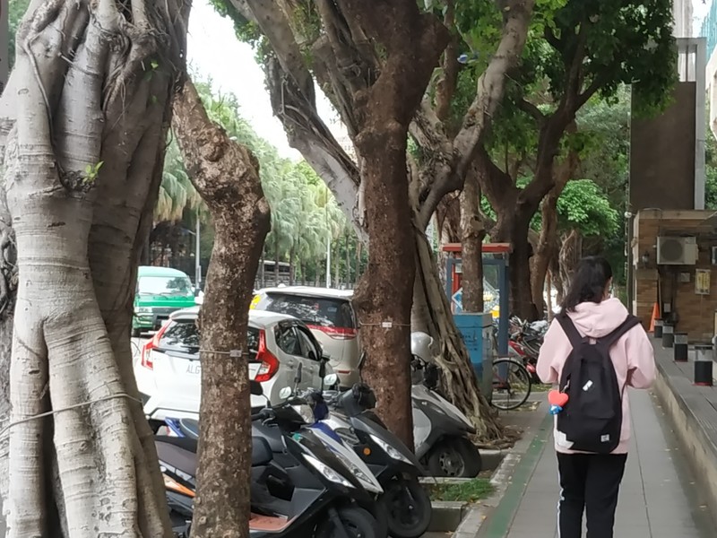 中央氣象局表示,未來一週天氣會較為濕涼,預測最低溫只有18、19度。(photo by 張朝瑋/台灣醒報)