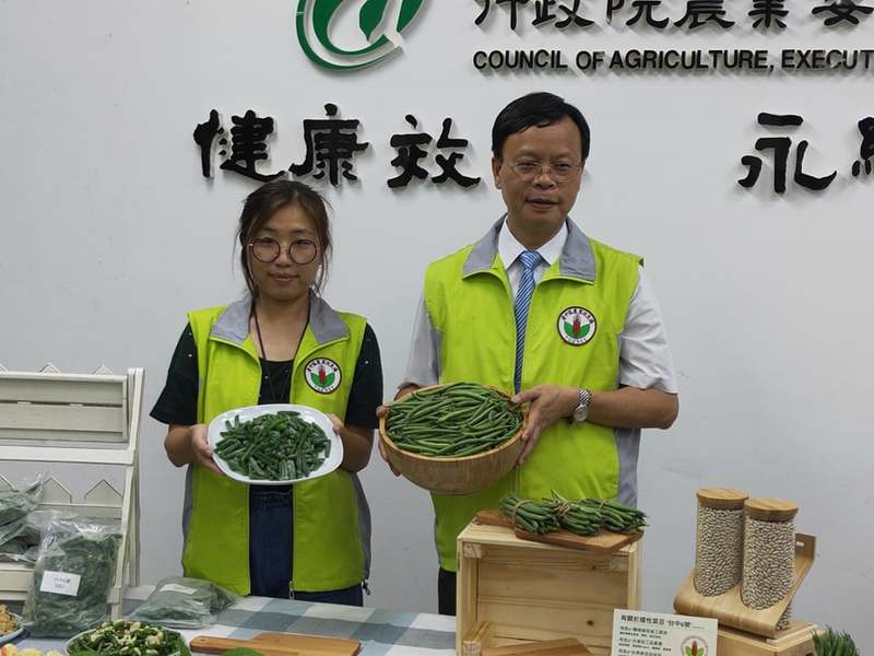 農委會費時6年,培養出具產業競爭力的矮性菜豆「台中6號」。(Photo by 呂翔禾/台灣醒報)