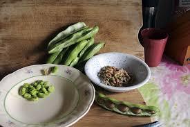 美國FDA考慮將大豆從「可降低膽固醇」的食物清單剔除,但研究人員認為他們不該如此。 (photo by Max Pixel)