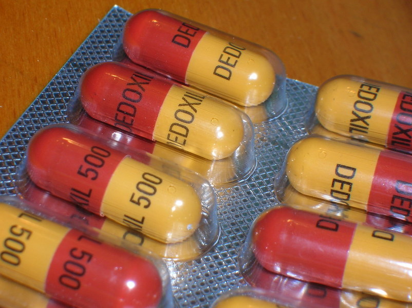 芝加哥大學研究人員近期一項研究顯示,抗生素對雄性老鼠在阿茲海默症病情的控制方面有幫助。(photo by Rob Brewer on flickr)