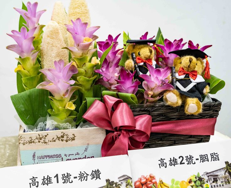 農委會高雄農業改良場於4日發布有「熱帶鬱金香」之稱的薑荷花新品種「高雄1號—粉鑽」、「高雄2號—胭脂」。(photo by張元融/台灣醒報)