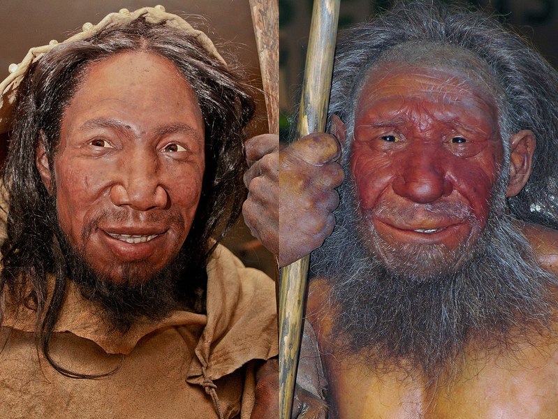 最新研究指出,人類可能比想像中還要早從非洲遷出(Out of Africa)。圖右為智人(我們),左為尼安德塔人。(Photo from Wikimedia Commons)
