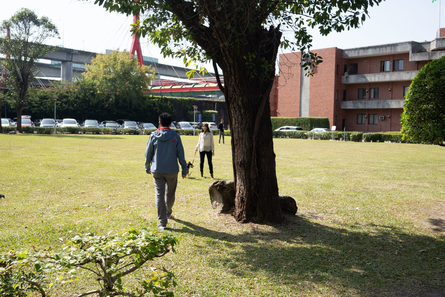 中央氣象局表示,13日(週三)前,北部東半部白天高溫可到攝氏26度左右,日夜溫差恐有10度之多!(photo by張元融/台灣醒報)