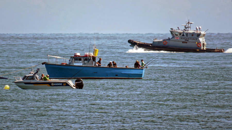 綠色和平指出,遠洋漁船依然有非法捕撈鯊魚、海上轉運及漁工超時工作等情況發生。(photo by Wikimedia Commons)