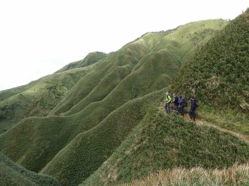 抹茶色染滿山頭的聖母山莊步道光景。(photo by交通部觀光局)