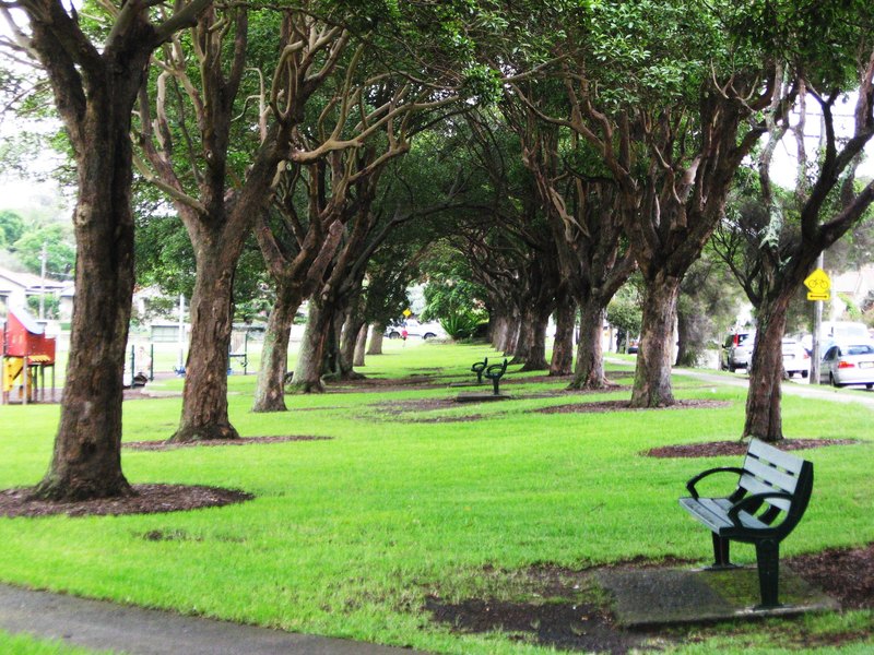 研究發現,大量種植樹木會適得其反。(Photo by grace_kat on Flicker under Creative Commons license)