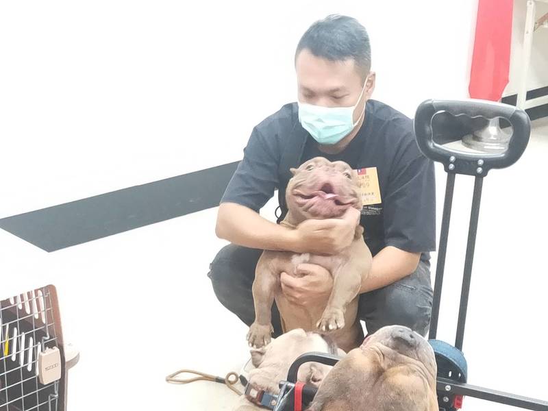 多名美國惡霸犬的飼主帶著自己養的狗狗到立法院陳情,呼籲農委會不要將惡霸犬列管危險犬種。(Photo by 呂翔禾/台灣醒報)