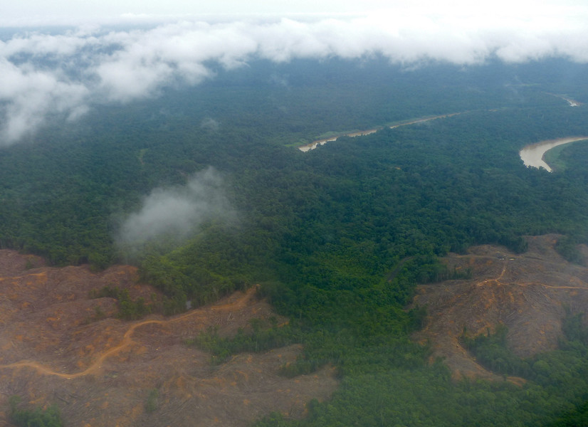 世界各地珍貴雨林仍持續遭到人類無情砍伐。(Photo by Bernard DUPONT on Flicker under Creative Commons license)