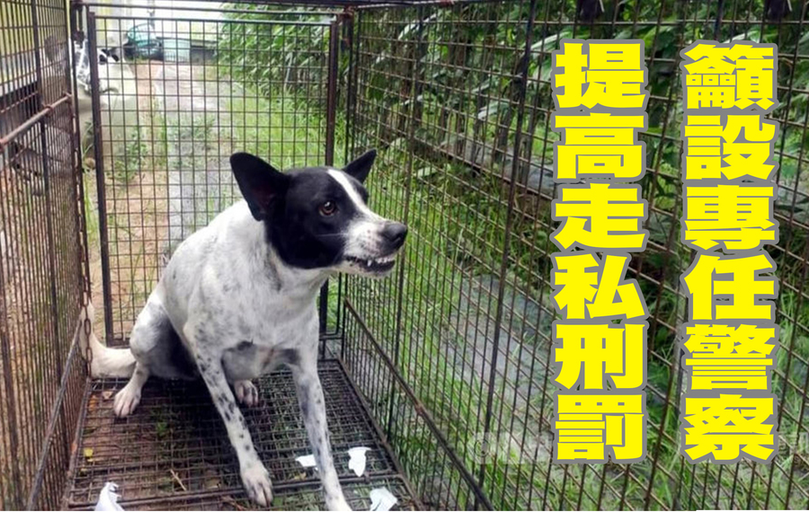 動物本身無法為自己發聲,只能透過人類協助。(中央社)