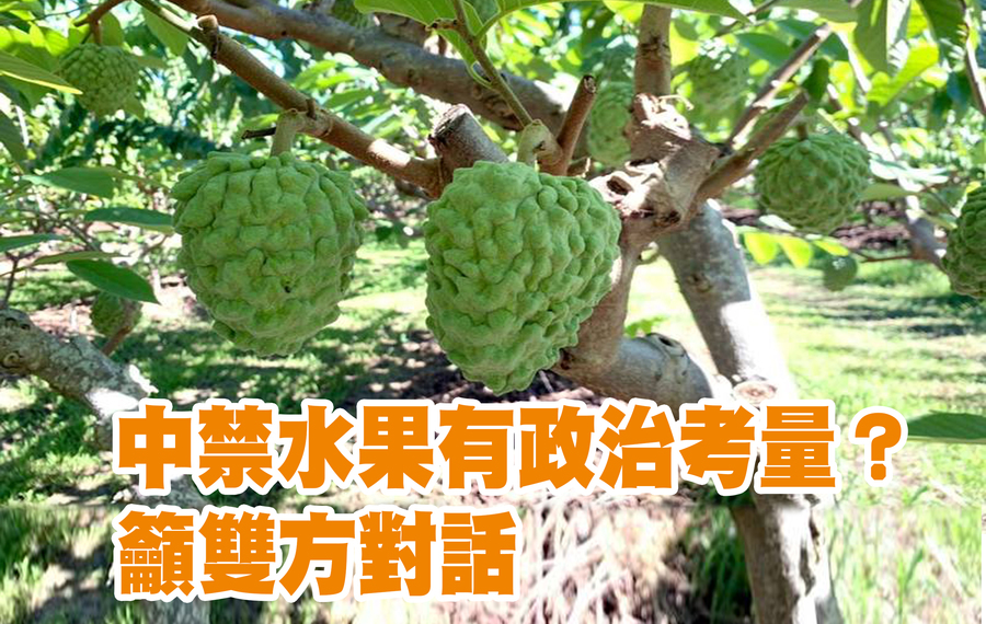 對於中國禁止釋迦與蓮霧進口,農經學者李武忠建議農委會要從根本解決問題,而非持續操弄政治考量。(Photo on 饒慶玲臉書)